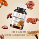 reishi-mushroom-capsules-organic-advance-2.jpg