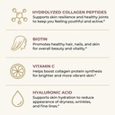 multi-collagen-peptides-powder-types-i-i-4.jpg