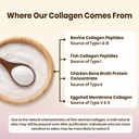 vev-multi-collagen-peptides-powder-16-oz-6.jpg