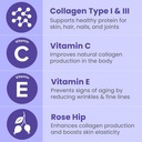 sanar-naturals-collagen-pills-150-capsul-4.jpg