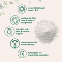 micro-ingredients-hydrolyzed-collagen-pe-4.jpg
