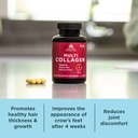 ancient-nutrition-collagen-pills-peptide-4.jpg