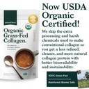 natural-force-organic-clean-collagen-pep-3.jpg