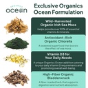 organics-ocean-wild-sea-moss-capsules-10-5.jpg