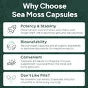 organics-ocean-wild-sea-moss-capsules-10-6.jpg