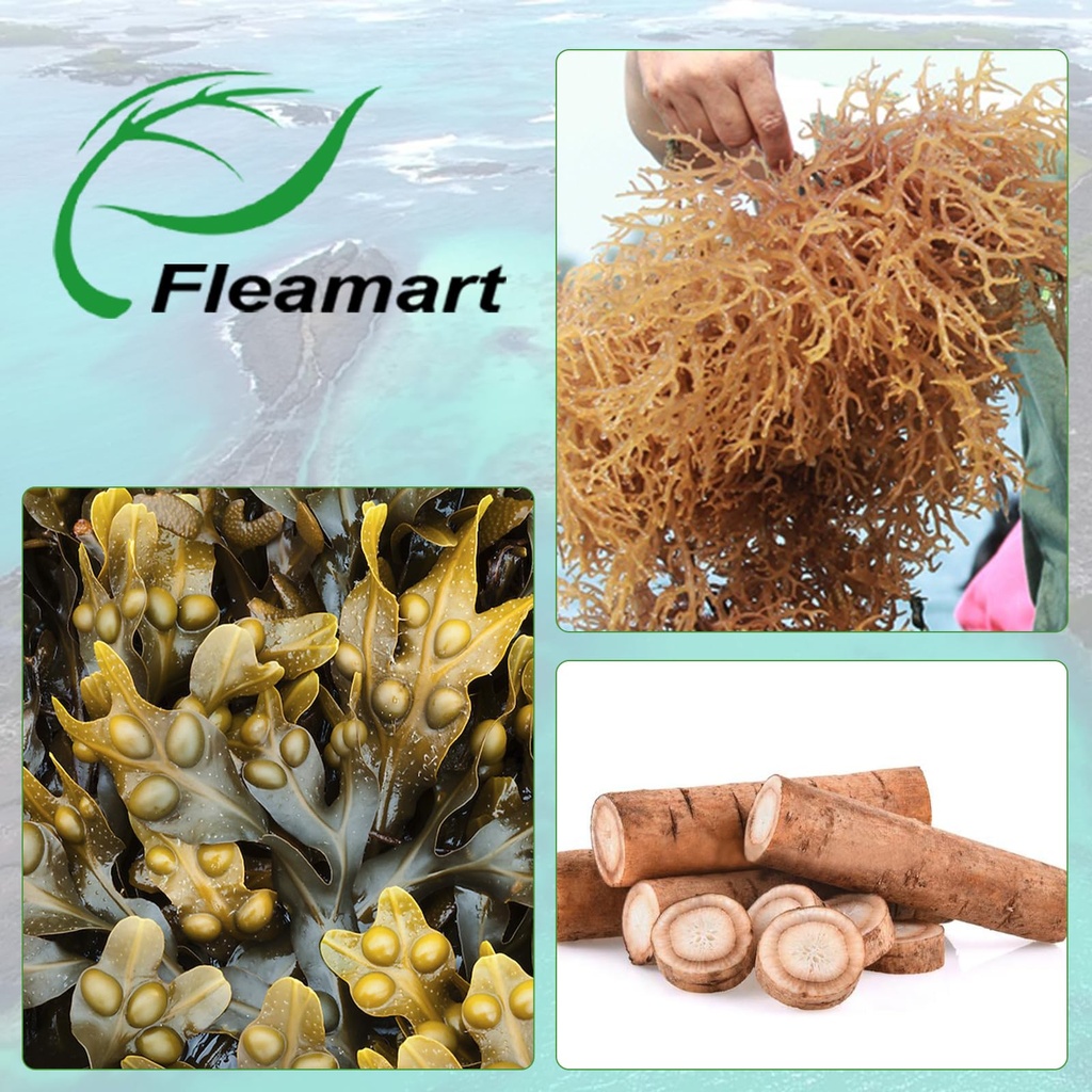 irish-sea-moss-capsules-120ct-raw-sea-mo-6.jpg