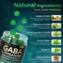 gaba-l-theanine-650-mg-cortisol-suppleme-4.jpg