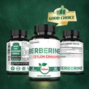 satoomi-1500mg-berberine-with-ceylon-cin-6.jpg