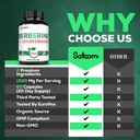 satoomi-1500mg-berberine-with-ceylon-cin-4.jpg