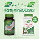 nature-s-way-uva-ursi-1-440-mg-per-servi-2.jpg