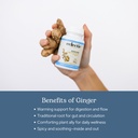 eclectic-herb-ginger-capsules-antioxidan-4.jpg