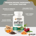 organic-joint-gut-supplement-turmeric-cu-5.jpg