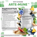 clean-nutraceuticals-artemisinin-quercet-5.jpg