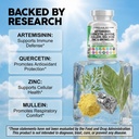 clean-nutraceuticals-artemisinin-quercet-3.jpg
