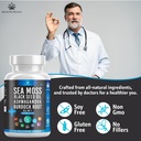 silicon-sea-moss-black-seed-oil-ashwagan-6.jpg