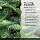 irwin-naturals-aloe-triphala-active-clea-4.jpg