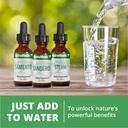nutramedix-noni-drops-noni-fruit-extract-6.jpg