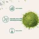 organic-broccoli-powder-1-pound-freeze-d-3.jpg