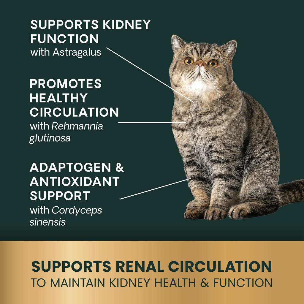 vetriscience-kidney-health-chews-renal-e-6.jpg