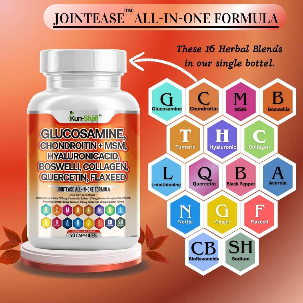 glucosamine-chondroitin-msm-supplement-w-2.jpg