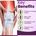 joint-support-supplement-with-glucosamin-3.jpg