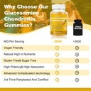 glucosamine-chondroitin-gummies-with-msm-4.jpg