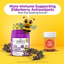 zarbee-s-no-sugar-coating-elderberry-gum-3.jpg