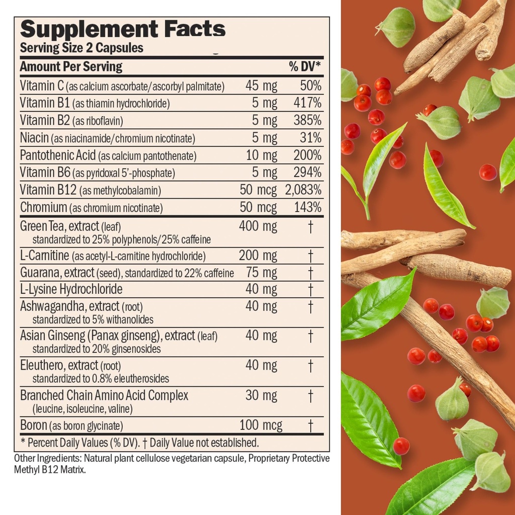 andrew-lessman-energy-and-fat-metabolism-2.jpg
