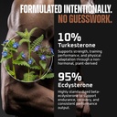 turkesterone-ecdysterone-natural-testost-2.jpg