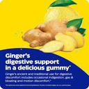 enzymedica-ginger-root-vitamin-b6-gummie-5.jpg