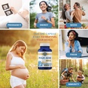 vykee-nutrition-antioxidant-immune-defen-5.jpg