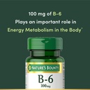 nature-s-bounty-vitamin-b6-100mg-tablets-6.jpg