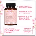 prenatal-vitamins-for-women-prenatal-mul-6.jpg