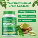 moringa-capsules-pure-moringa-leaf-powde-6.jpg
