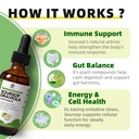 imatchme-soursop-graviola-liquid-drop-fo-4.jpg