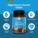 organic-ceylon-cinnamon-extract-tablets--4.jpg