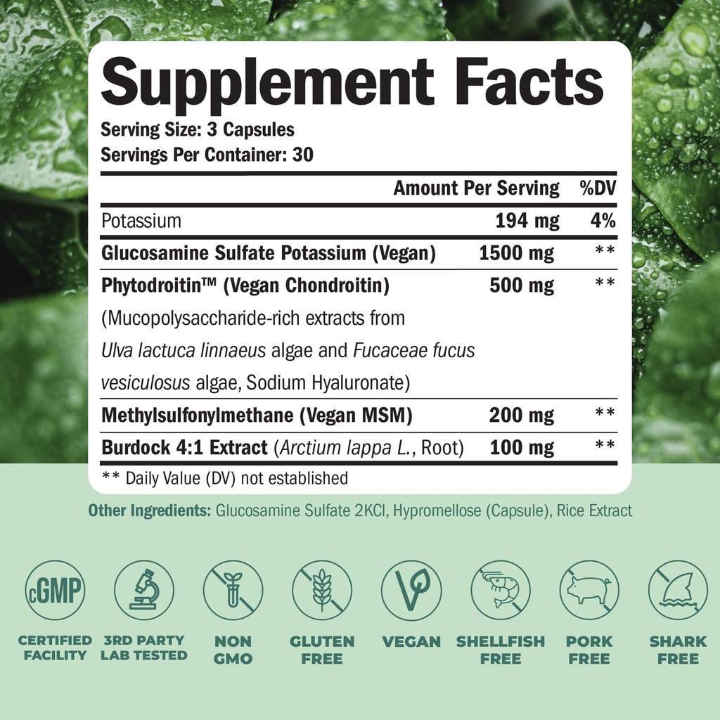 vegan-glucosamine-chondroitin-msm-turmer-3.jpg