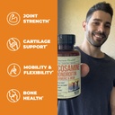 glucosamine-chondroitin-turmeric-msm-men-3.jpg