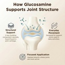 glucosamine-plus-chondroitin-cream-with--4.jpg