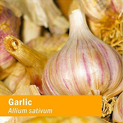 herb-pharm-certified-organic-garlic-liqu-6.jpg