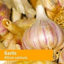 herb-pharm-certified-organic-garlic-liqu-6.jpg