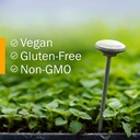 herb-pharm-certified-organic-gotu-kola-l-6.jpg