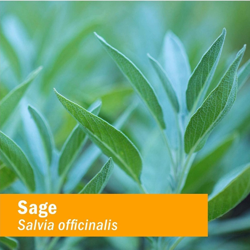 herb-pharm-sage-liquid-herbal-extract-fo-5.jpg