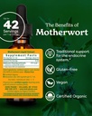 herb-pharm-certified-organic-motherwort--2.jpg