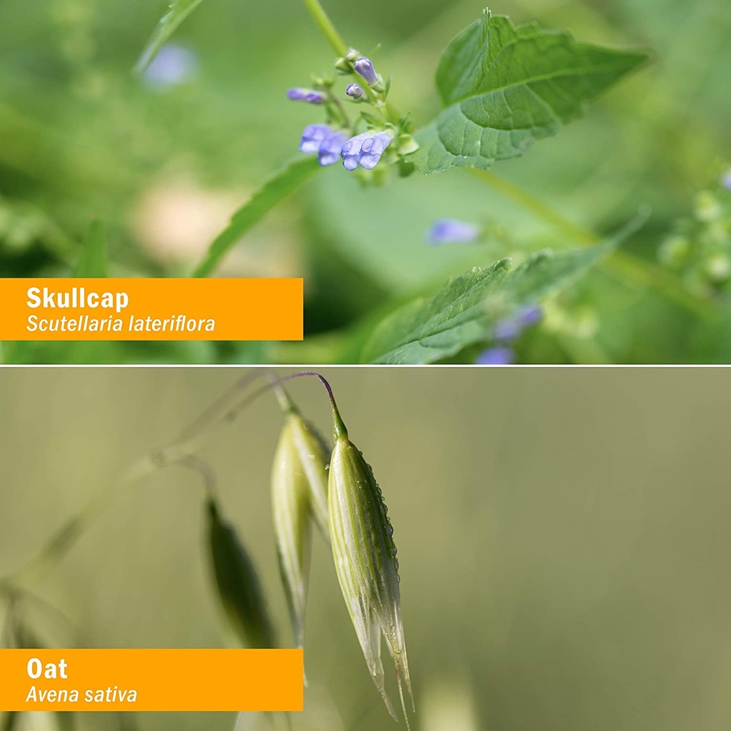 herb-pharm-nervous-system-tonic-with-st--5.jpg