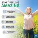 intestinepro-gut-health-supplement-with--4.jpg