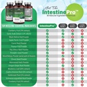 intestinepro-gut-health-supplement-with--2.jpg