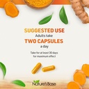 nature-s-base-turmeric-and-ginger-supple-6.jpg