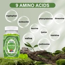 well-whole-eaa-gummies-and-tudca-1000mg--5.jpg