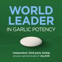 garlique-garlic-extract-supplement-healt-4.jpg